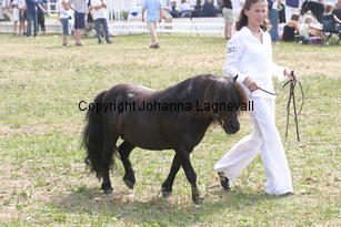 zeagram_2005.jpg