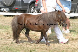 zoraofberry_2067.jpg