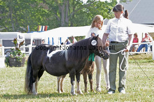 andrea_0945-2.jpg