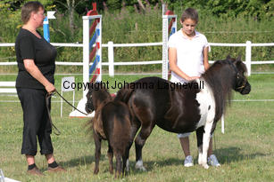 asperaserisort_0860-2.jpg