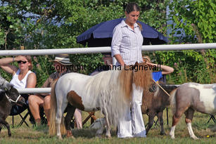 bayernsdolly_0835-2.jpg
