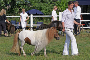 bayernsdolly_0876-2.jpg