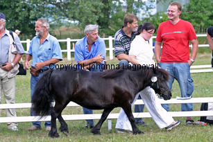 bjorklundasjiffie_1078-2.jpg