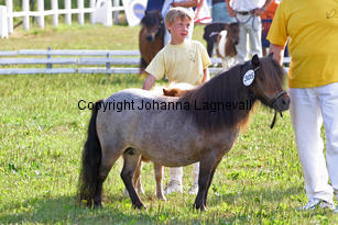 cranfordbutterkist_0847-2.jpg