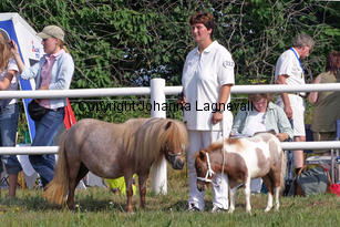crazycoloursalaika_0886-2.jpg