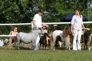 crazycoloursrosaly-bayernsdolly_0836.jpg
