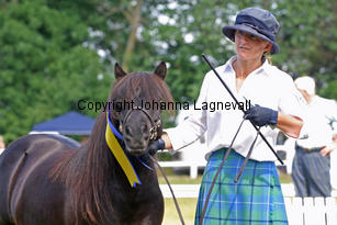 exhibitoftransy_1121-2.jpg