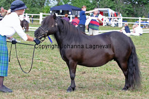 exhibitoftransy_1126-2.jpg