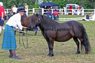 exhibitoftransy_1127-2.jpg