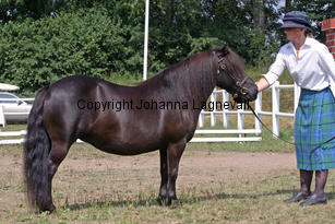 exhibitoftransy_2155-2.jpg