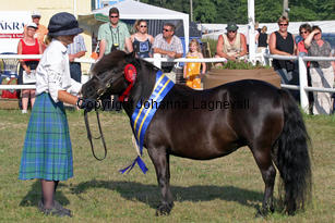 exhibitoftransy_2474-2.jpg