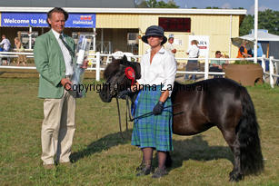 exhibitoftransy_2485-2.jpg