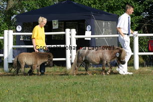 fleetwoodleyamazinggrace_0832.jpg