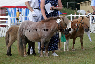 fleetwoodleyamazinggrace_1607-2.jpg