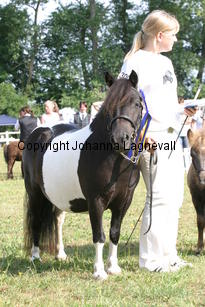 foulafaney_0946.jpg