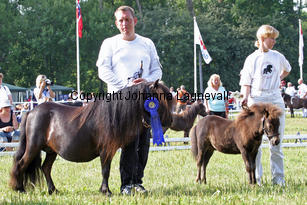 ginnaafhola_0911-2.jpg