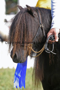 ginnaafhola_0936-2.jpg