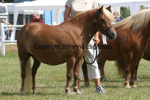 glantansnetty_1146-2.jpg