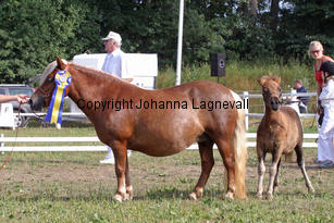 hamrasfroken_0898-2.jpg