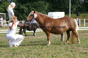hamrasfroken_0899.jpg
