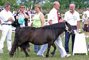 luciavdtolberg_1080-2.jpg
