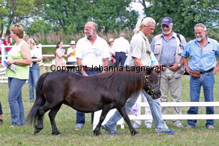 ostenengasfrida_1076-2.jpg