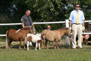 parlingtonhenrietta-rapunzelvomellernbrook_0825.jpg