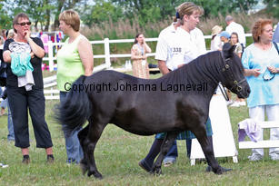 phoebeoftransy_1079-2.jpg
