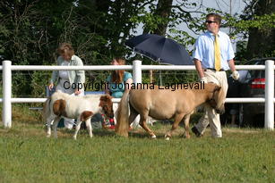 rapunzelvomellernbrook_0830.jpg