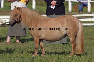 rapunzelvomellernbrook_0854-2.jpg