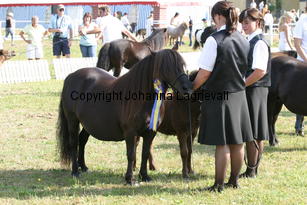 roseoftransy_0947.jpg