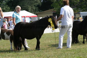 sandbackasgill_0951.jpg