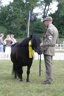 schivaspepsi_1118.jpg