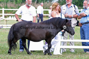 sussette_1082-2.jpg