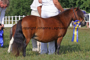 ugglebackensinja_0909-2.jpg