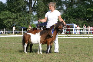 ugglebackensinja_0921.jpg