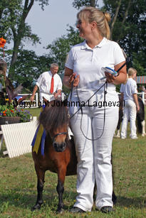 ugglebackensinja_0933-2.jpg