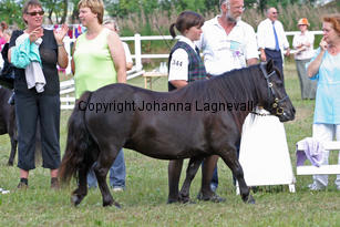 vihrsgardensmaclady_1083-2.jpg