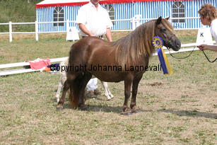 almnasbelle_2213.jpg