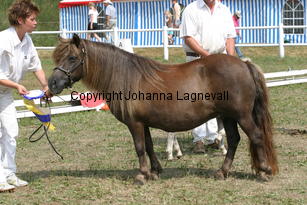 almnasbelle_2214.jpg