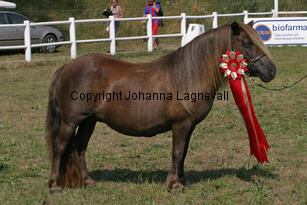 almnasbelle_2331-2.jpg