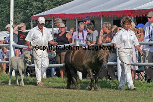 almnasbelle_2459-2.jpg