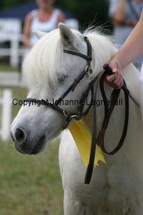 emilyofcatchpool_1502-2.jpg