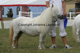 rommyvonuda_1497-2.jpg