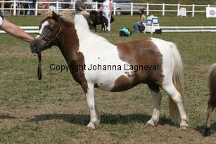 twyfordpixie_2254.jpg