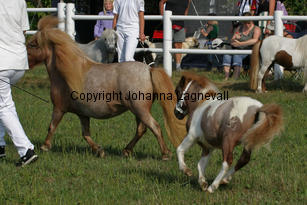 antwortausdemwesterwald_0874-2.jpg