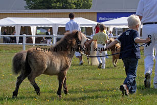 ardeziarh_0940-2.jpg