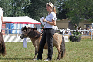 backegaardscaramel_1030-2.jpg