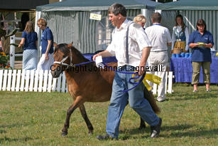 backensmissu_1008-2.jpg