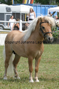 eddieausdemwesterwald_1289-2.jpg